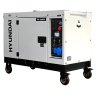 Дизельный электрогенератор Hyundai DHY 10000SE