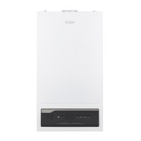 Настенный газовый котел Haier ProLine S 2.24 Ti